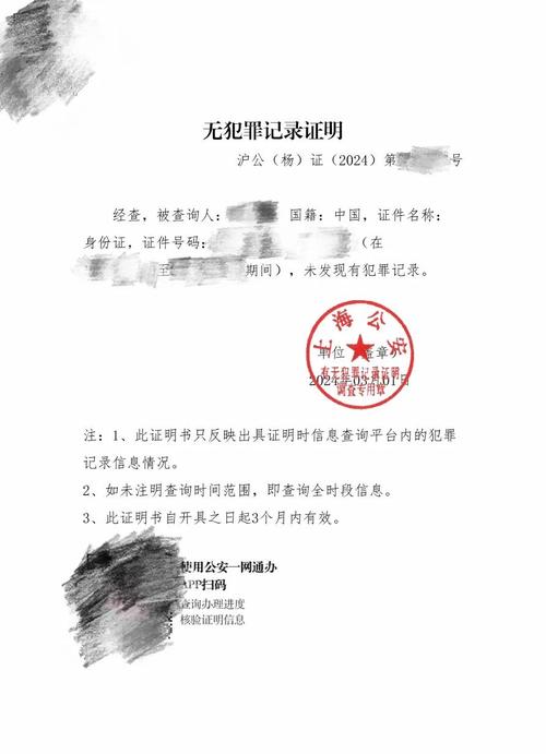 中国无犯罪记录海牙认证